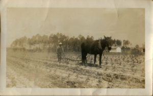 John Klun plowing with mule